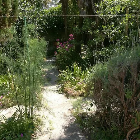 Seaside Katrine * Banjol