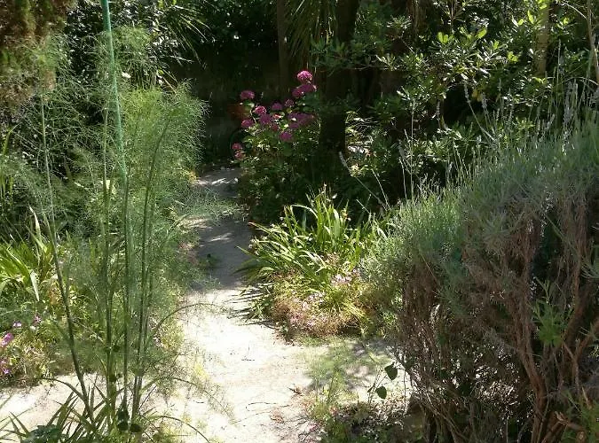 Seaside Katrine * Banjol